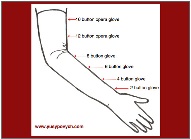 A Definition of Opera Length Gloves