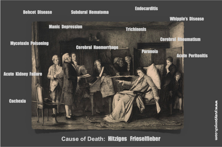 W.A. Mozart Cause of Death?